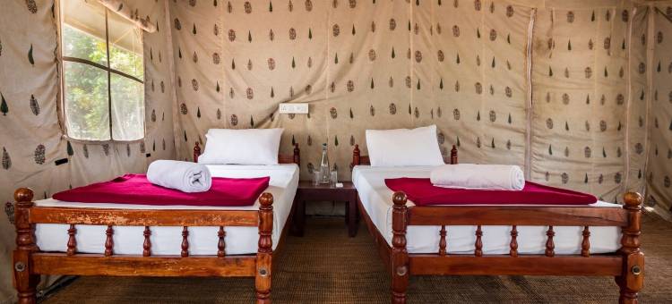 Amritara河边豪华帐篷(Amritara Riverside Camp)图片