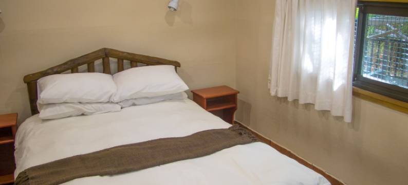 珊瑚潜水者酒店(Coral Divers)图片