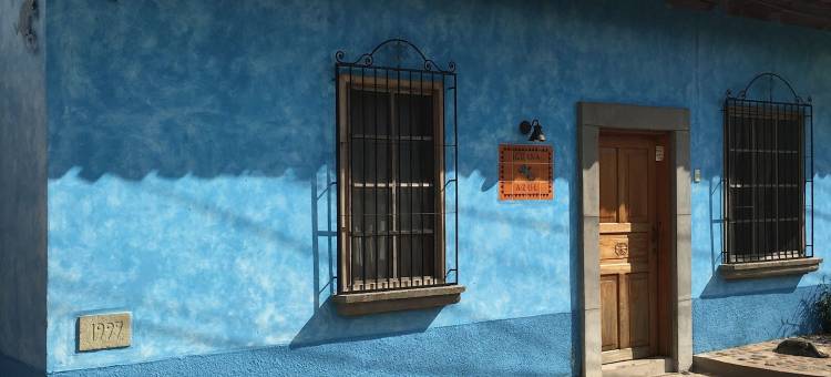 蓝鬣蜥青年旅社(Hostel Iguana Azul)图片