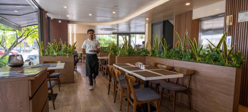 星星贝壳酒店(Star Shell)图片