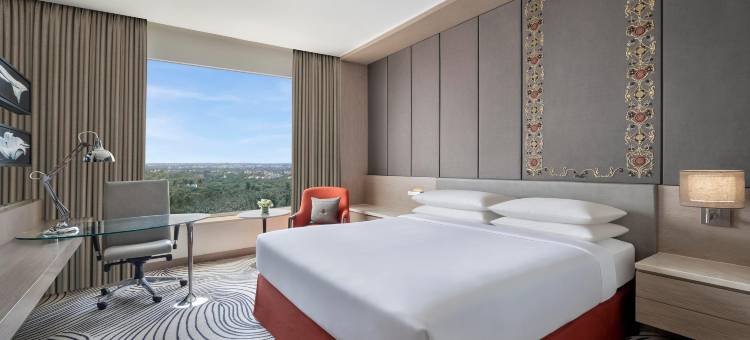 新德里喜来登酒店(Sheraton New Delhi Hotel)图片