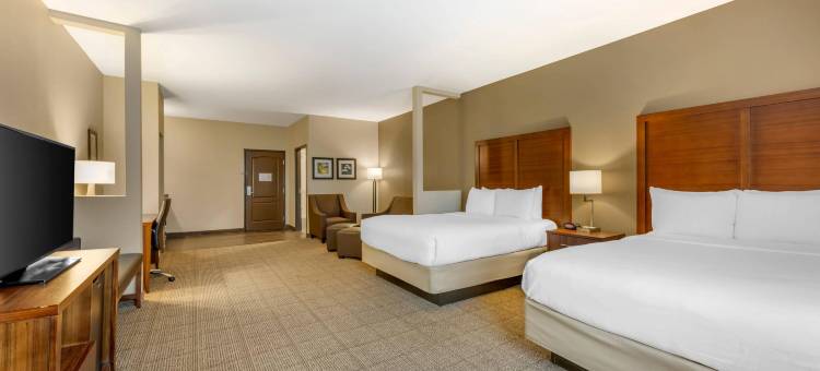 舒适酒店(Comfort Inn I-20 Midland Stanton)图片