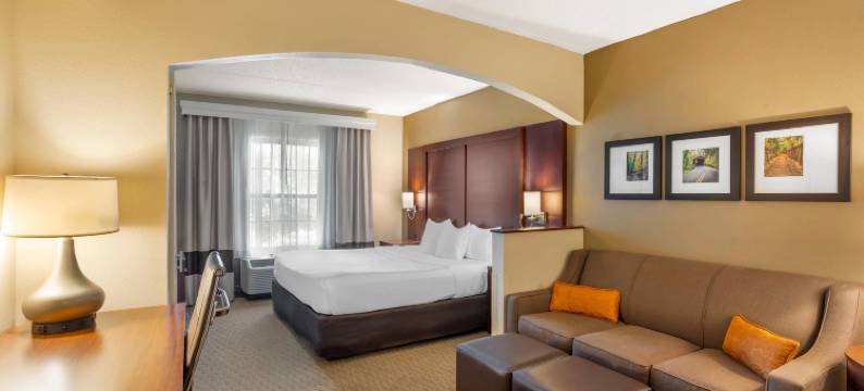 舒适套房酒店-近宾夕法尼亚州立大学(Comfort Suites Near Penn State - State College, PA)图片