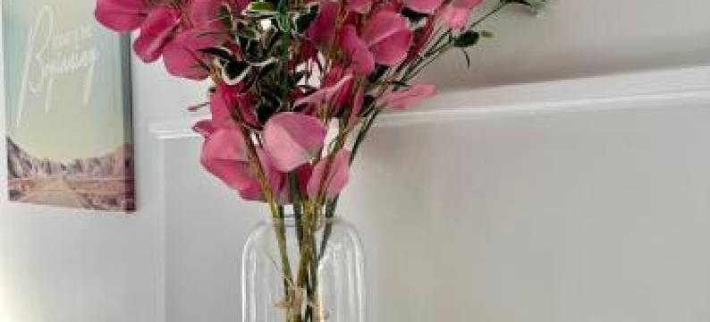 Lemon Tree Apartment Tawa图片