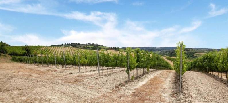 Peaceful Getaway in Nature图片