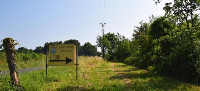 Oakwood Hideaway Stay图片