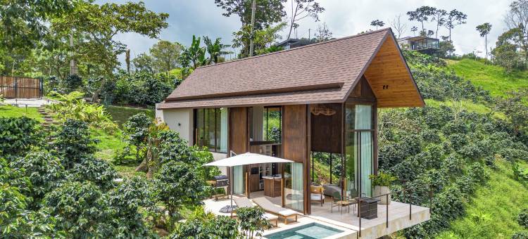 菲兰迪亚小屋(La Casita Filandia)图片