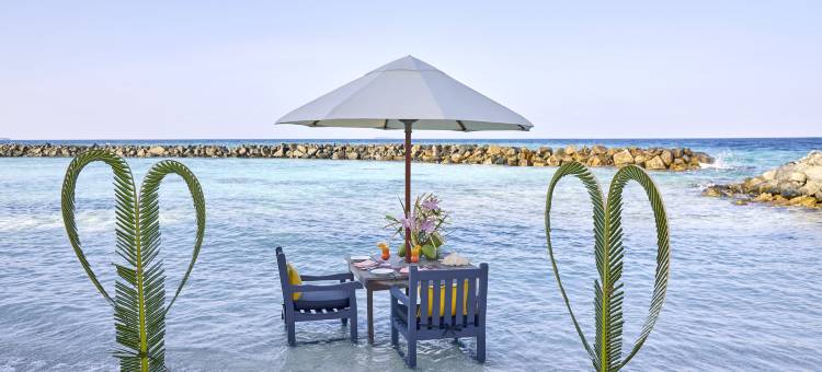 马尔代夫泰姬珊瑚礁水疗度假村(Taj Coral Reef Resort & Spa Maldives)图片
