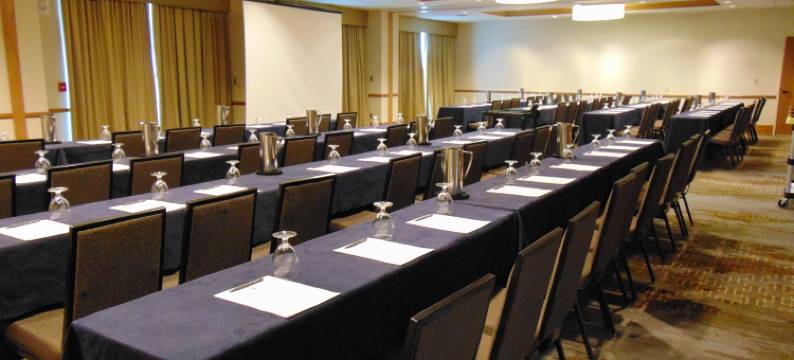 列克星敦格林希尔顿大使套房酒店(Embassy Suites by Hilton Lexington Green)图片