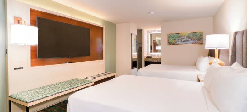 凯艺酒店-近鸽子谷岛(Quality Inn Near the Island Pigeon Forge)图片