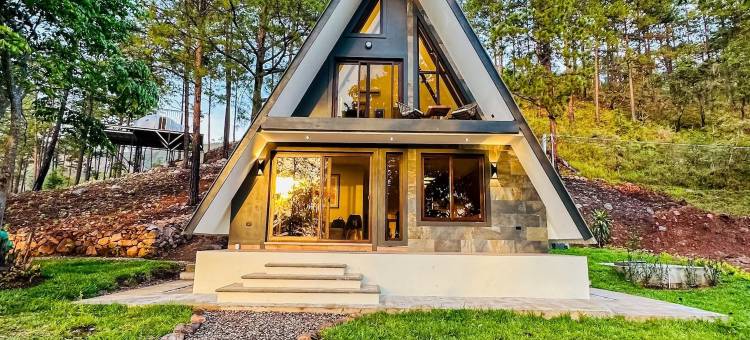 小松树豪华露营(Tiny Pines Glamping)图片