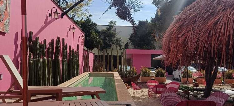 卡萨罗萨马特(Rosamate)图片