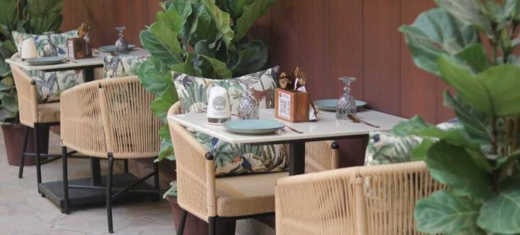 茂盛尊贵酒店(Lush Premier Hotel)图片