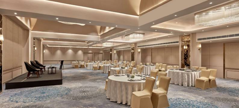 诺富特齐普尔会议中心酒店(Novotel Jaipur Convention Centre)图片