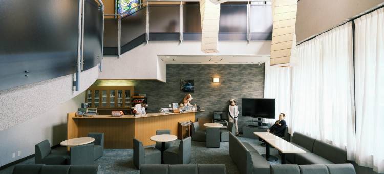 新祖谷温泉 蔓桥酒店(SHINIYAONSEN HOTEL KAZURABASHI)图片