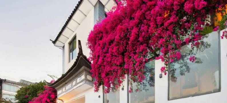 大理古城云舒客栈(人民路店)图片