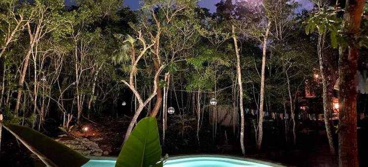 卡萨阿卡纳生态度假屋(Casa Arkaana Eco Retreat)图片