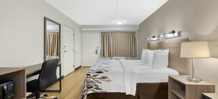 布法罗尼亚加拉机场红顶酒店(Red Roof Inn Buffalo - Niagara Airport)图片