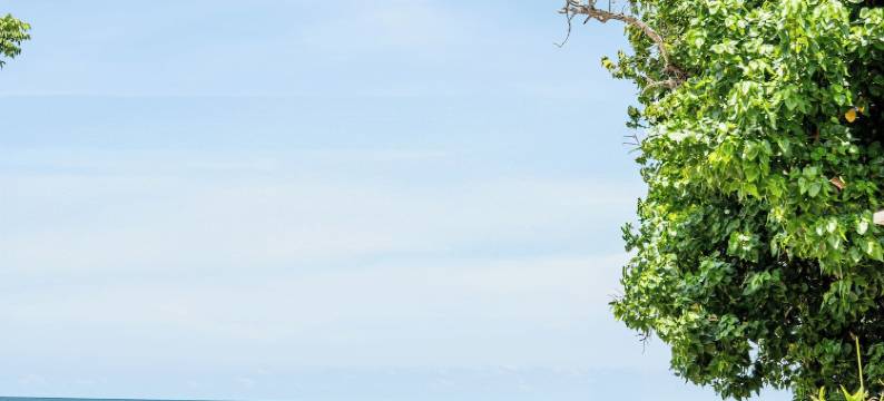 海之房酒店(Stanza Del Mar)图片