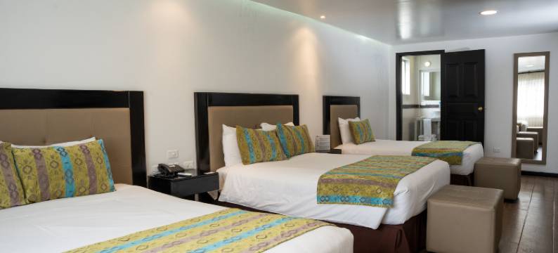 基多安贝斯酒店(Embassy Quito)图片