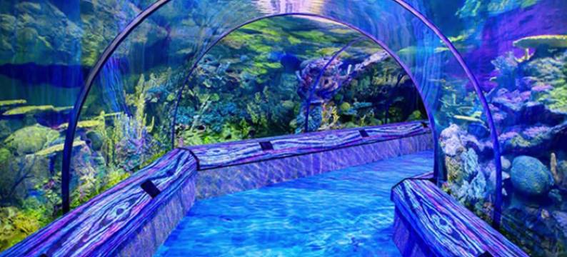 Even酒店奥兰多环球大道Ihg(EVEN Hotel ORLANDO UNIVERSAL BLVD by IHG)图片