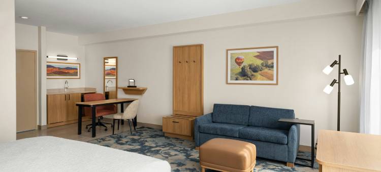 希尔顿欢朋套房酒店-安大略CA酒店(Hampton Inn & Suites Ontario)图片