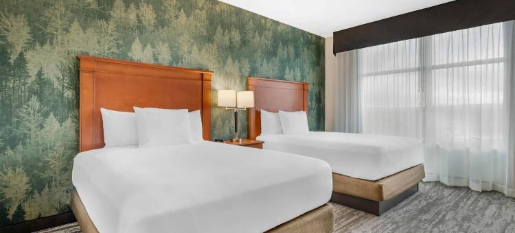 科罗拉多斯普林斯德鲁里套房酒店(Drury Inn & Suites Colorado Springs Near the Air Force Academy)图片