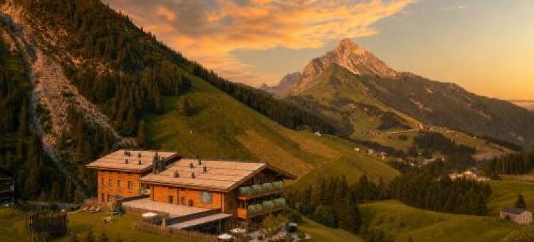 豪华阿尔卑斯小木屋(Lux Alp Chalet am Arlberg)图片