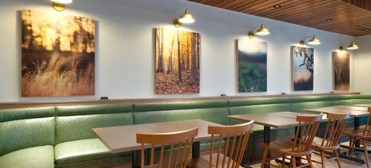 劳雷尔万枫酒店及套房(Fairfield Inn & Suites Laurel)图片