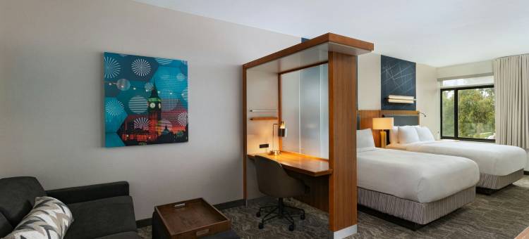 阿纳海姆主入口SpringHill Suites酒店(SpringHill Suites Anaheim Maingate)图片