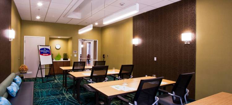 莫比尔SpringHill Suites酒店(SpringHill Suites Mobile)图片