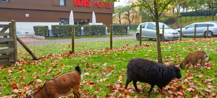 宜必思勒芒东部旁利酒店(Ibis le Mans Est Pontlieue)图片