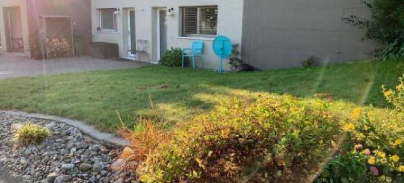 C&C Eco Studio图片