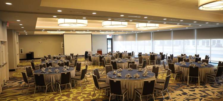 希尔顿花园酒店-奥斯汀机场(Hilton Garden Inn Austin Airport)图片
