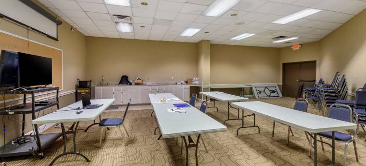 舒适酒店(Comfort Inn)图片