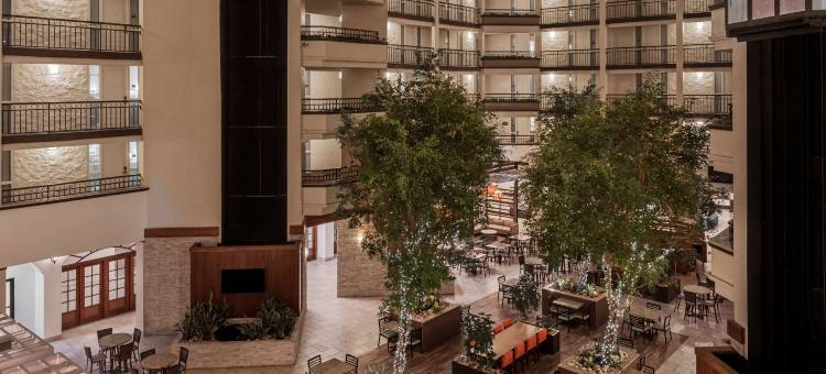 纳什维尔机场希尔顿安泊套房酒店(Embassy Suites by Hilton Nashville Airport)图片