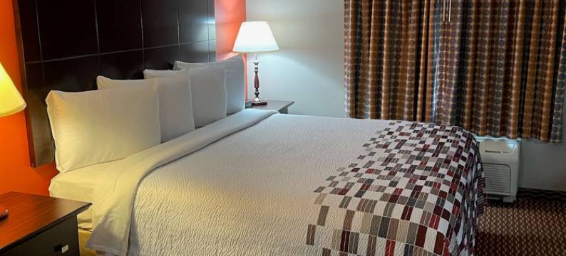 底特律梅尔文代尔迪尔伯恩红顶套房酒店(Red Roof Inn & Suites Detroit - Melvindale/ Dearborn)图片