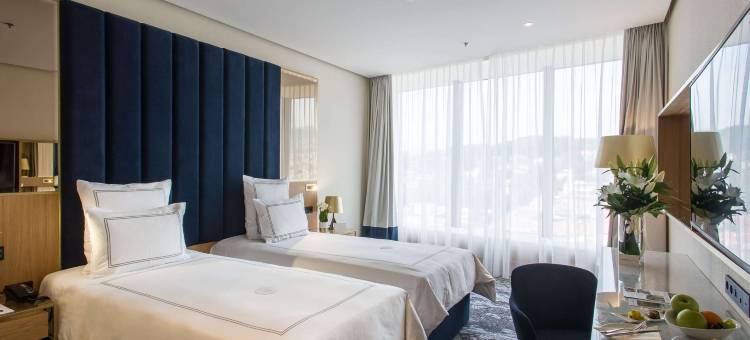 萨拉热窝瑞士酒店(Swissôtel Sarajevo)图片