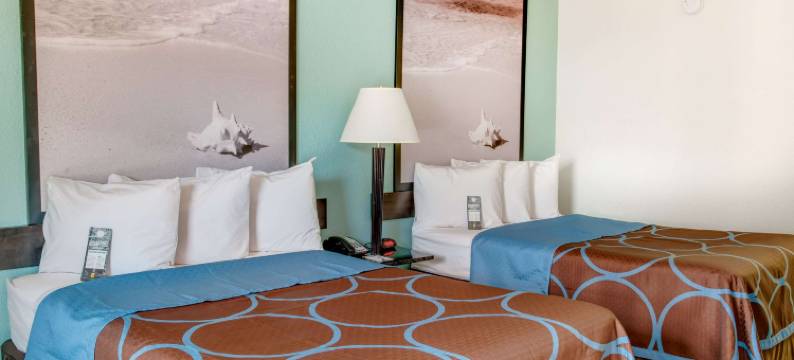 彼得堡街温德姆速 8 酒店(Super 8 by Wyndham St. Petersburg)图片