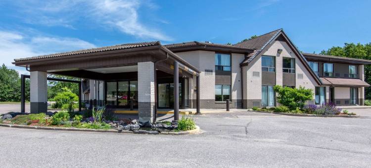 舒适酒店(Comfort Inn)图片