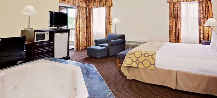 巴特里克市中心呗盟套房酒店(Baymont by Wyndham Battle Creek Downtown)图片