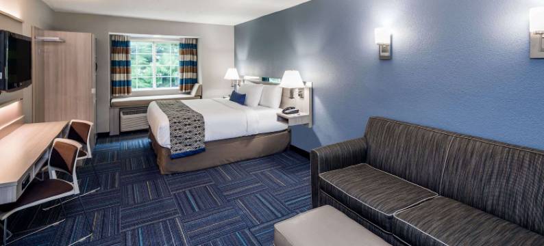 格林维尔麦客达套房酒店(Microtel Inn & Suites by Wyndham Greenville / Woodruff Rd)图片