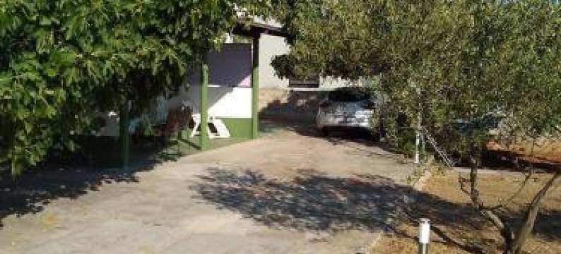 House " Bond "图片