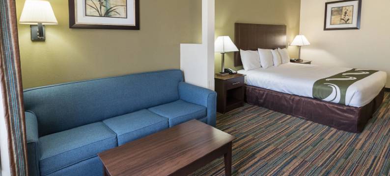 凯艺套房酒店(Quality Suites)图片