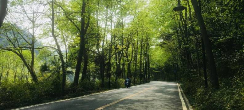 本间末里客栈(灵隐支路1号分店)图片