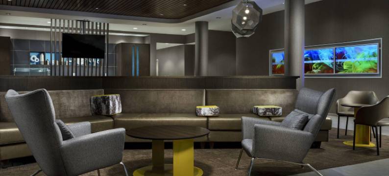 贝尔蒙特红木海岸SpringHill Suites酒店(SpringHill Suites Belmont Redwood Shores)图片