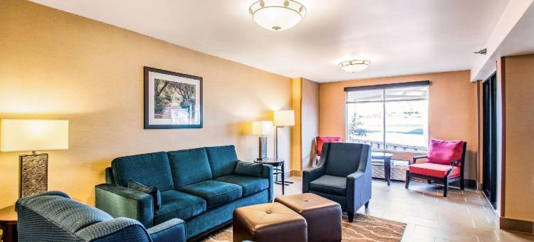 福尔斯彻奇舒适酒店-泰森斯角(Comfort Inn Falls Church - Tysons Corner)图片