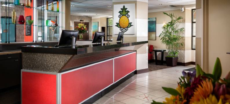 Staypineapple-大学旅馆-西雅图大学区(Staypineapple, University Inn, University District Seattle)图片