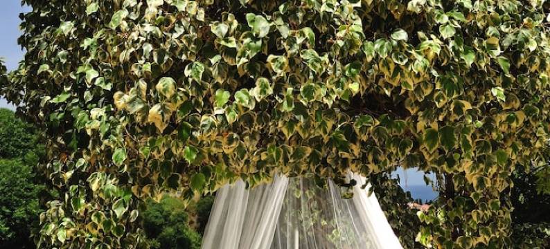 埃伯瑞黛尔帕拉迪索酒店(Alberi Del Paradiso)图片