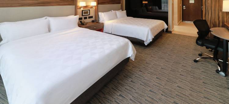 Holiday Inn and Suites Mexico Felipe Angeles Airport图片